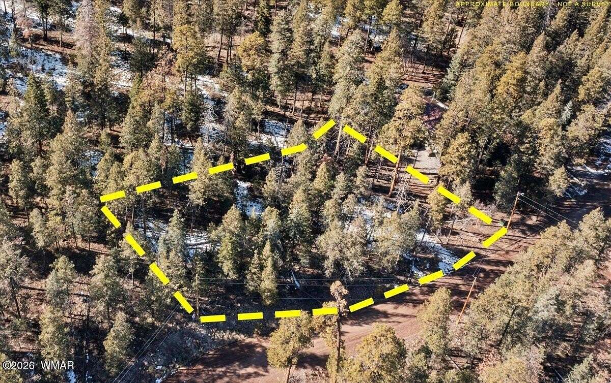 0.79 Acres of Residential Land for Sale in Alpine, Arizona