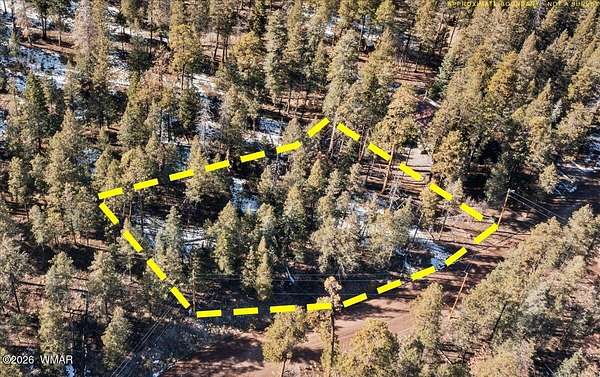 0.79 Acres of Residential Land for Sale in Alpine, Arizona