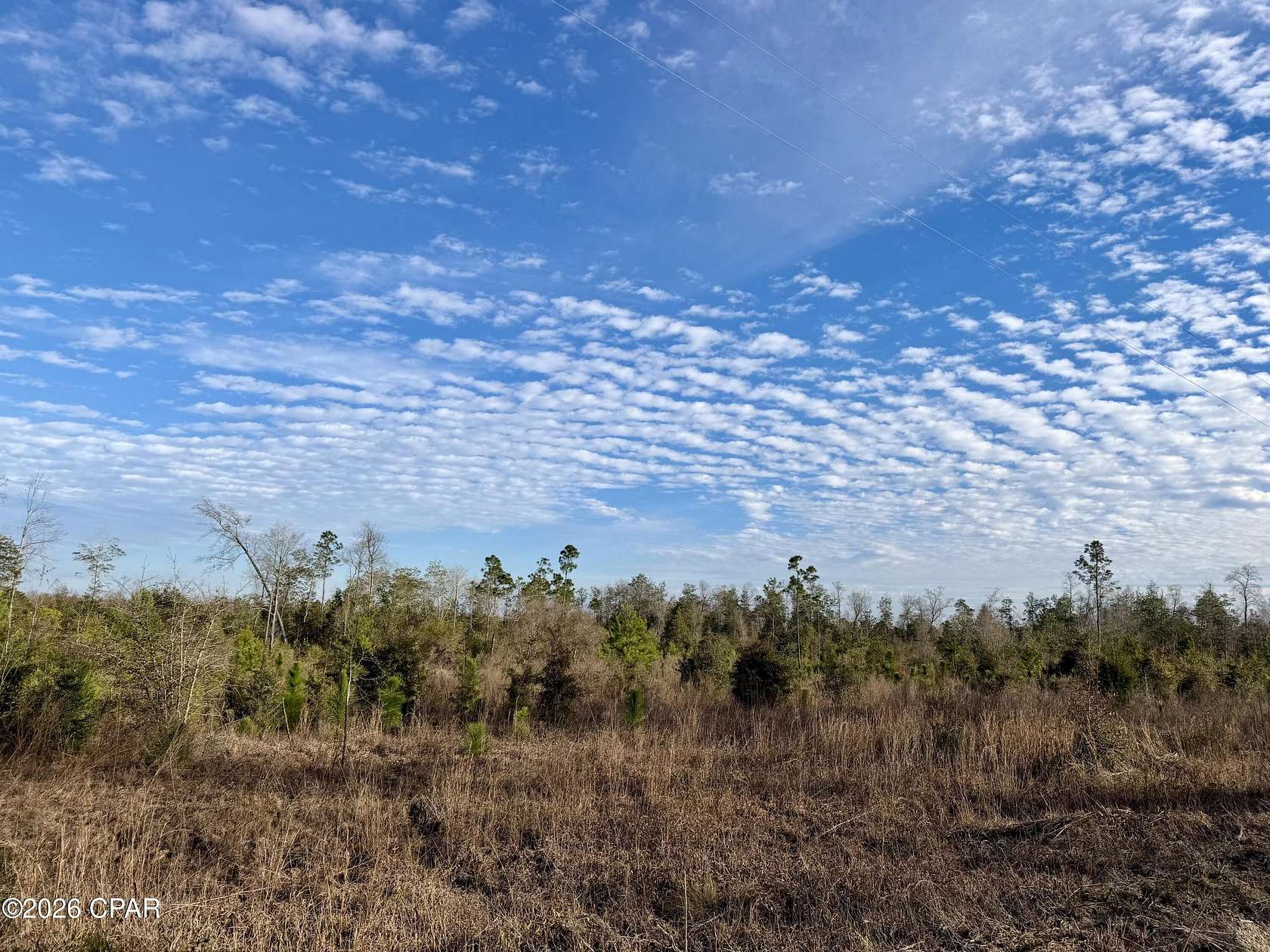 25 Acres of Recreational Land for Sale in Marianna, Florida