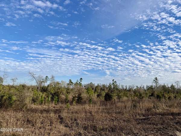 25 Acres of Recreational Land for Sale in Marianna, Florida