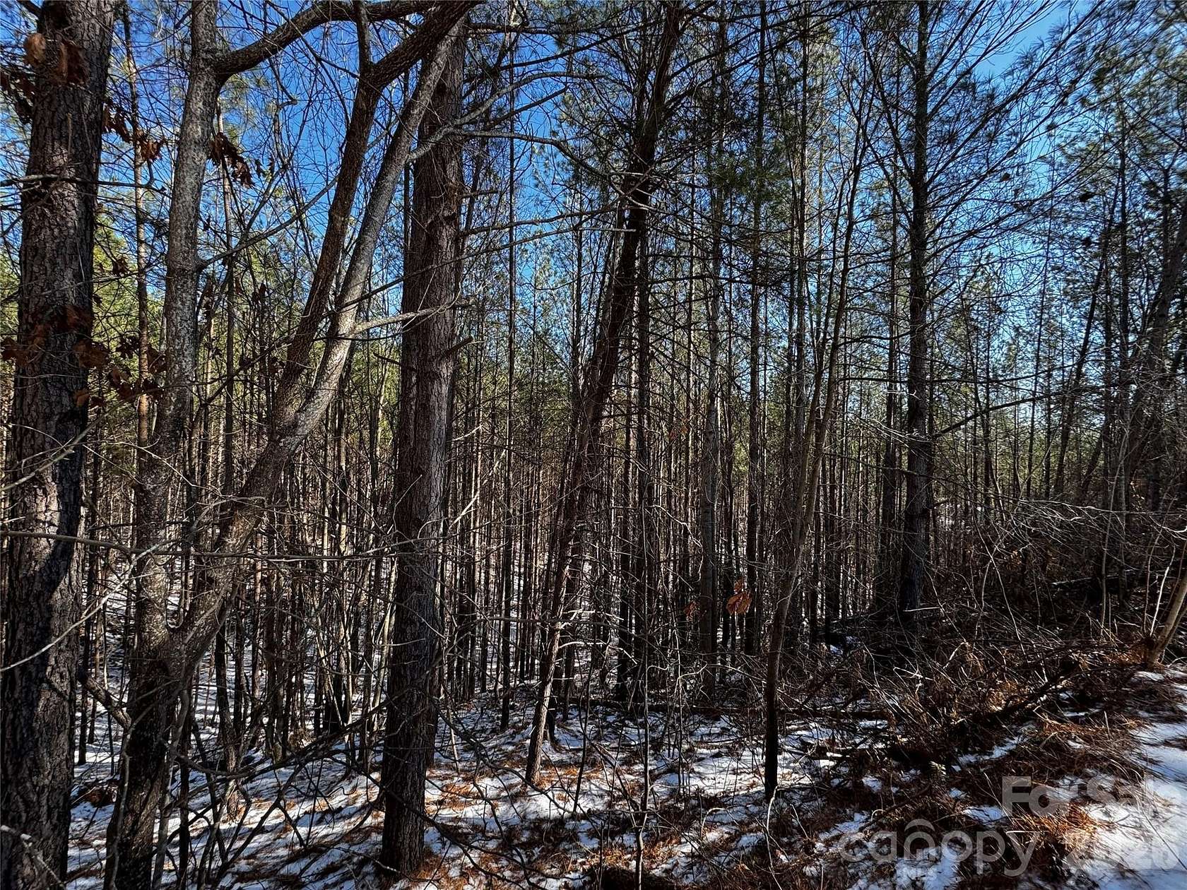 4.78 Acres of Land for Sale in Mill Spring, North Carolina