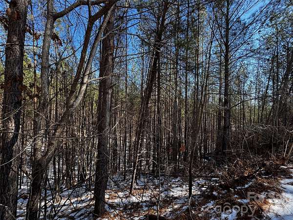 4.78 Acres of Land for Sale in Mill Spring, North Carolina