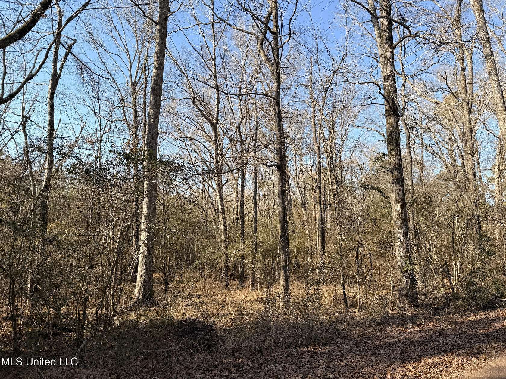 12.2 Acres of Recreational Land for Sale in Hazlehurst, Mississippi