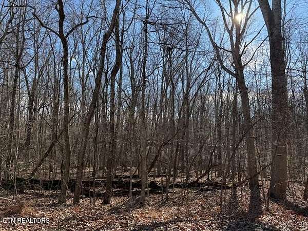 0.25 Acres of Land for Sale in Crossville, Tennessee