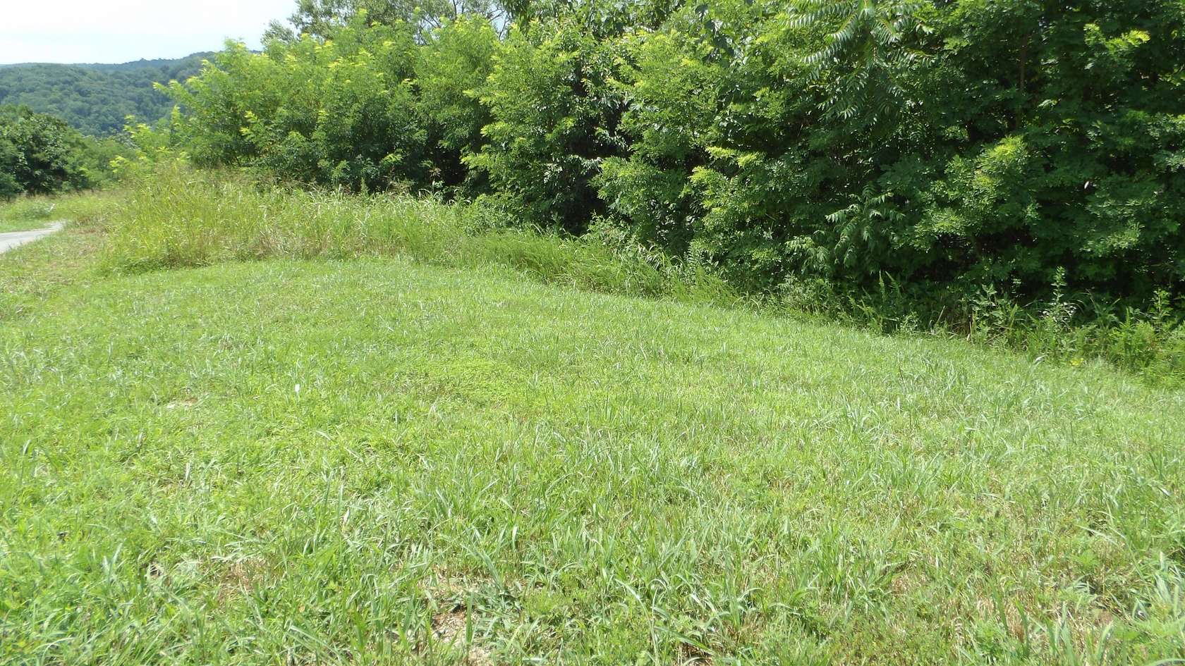 0.56 Acres of Residential Land for Sale in Hilham, Tennessee