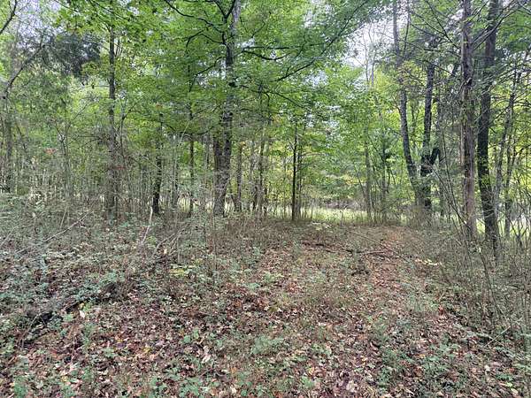 17.6 Acres of Land for Sale in Hampshire, Tennessee