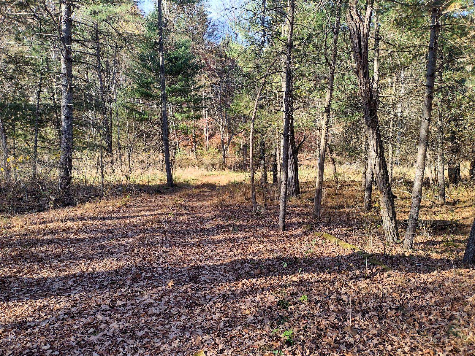 5.62 Acres of Residential Land for Sale in Fulks Run, Virginia