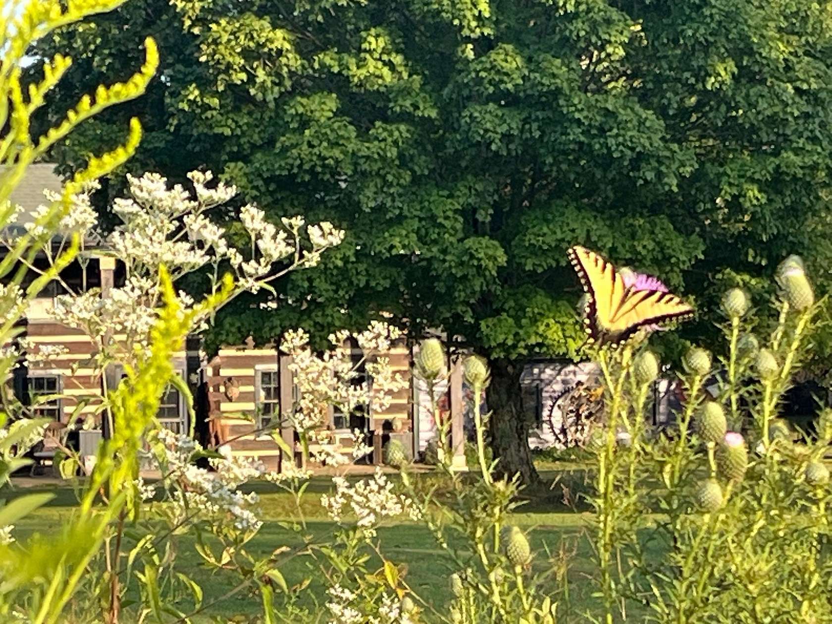 46.5 Acres of Land with Home for Sale in Fairview, Tennessee