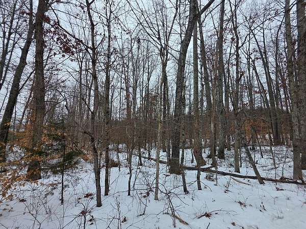 7.62 Acres of Land for Sale in Pamplin City, Virginia