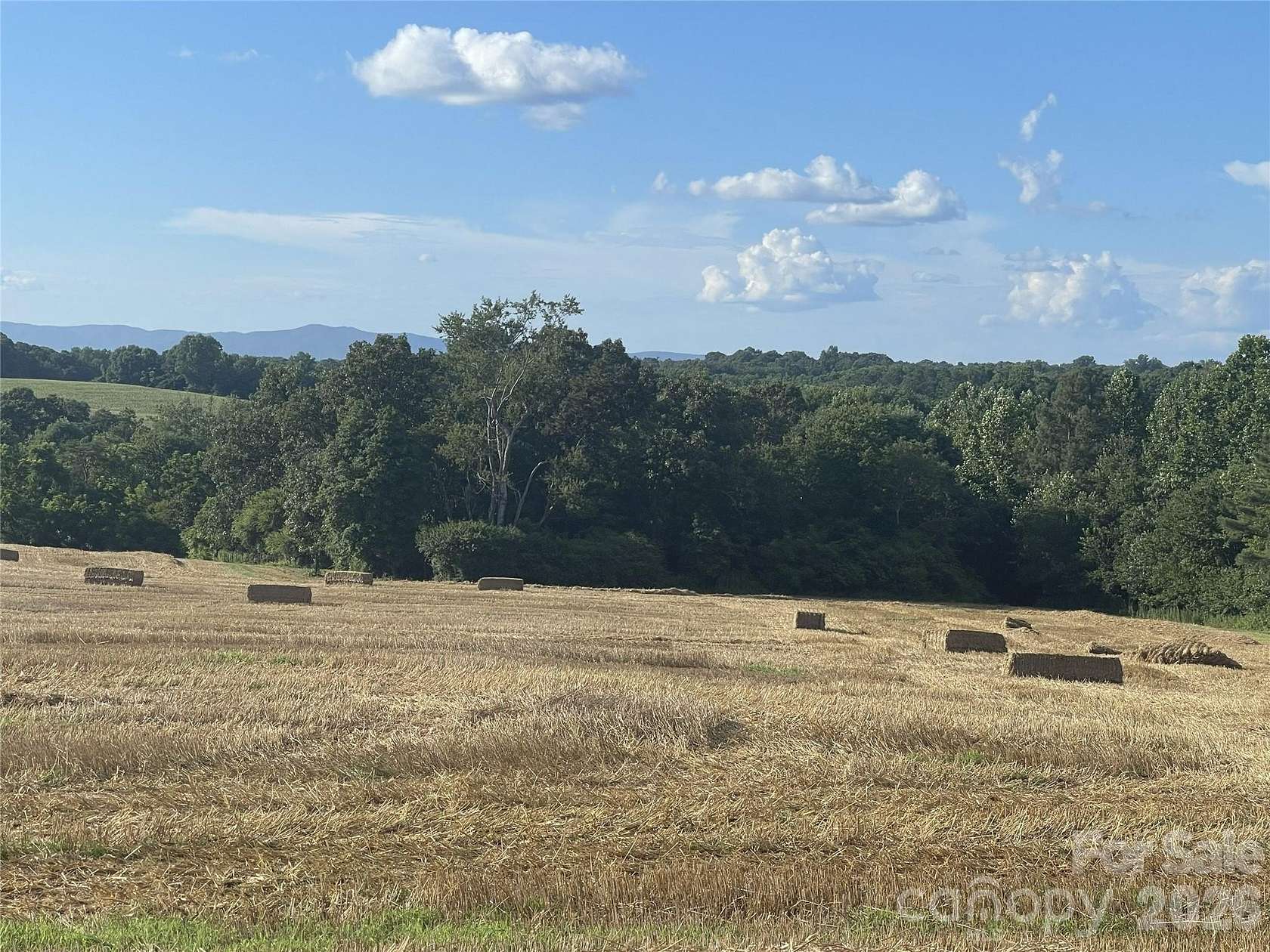 20.8 Acres of Recreational Land for Sale in Shelby, North Carolina