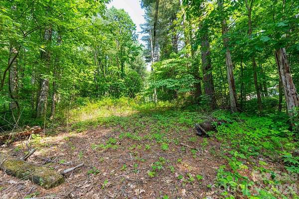 1.37 Acres of Residential Land for Sale in Sylva, North Carolina
