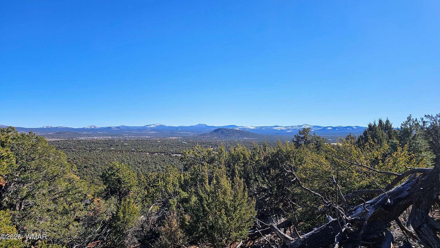 39.9 Acres of Recreational Land for Sale in Vernon, Arizona