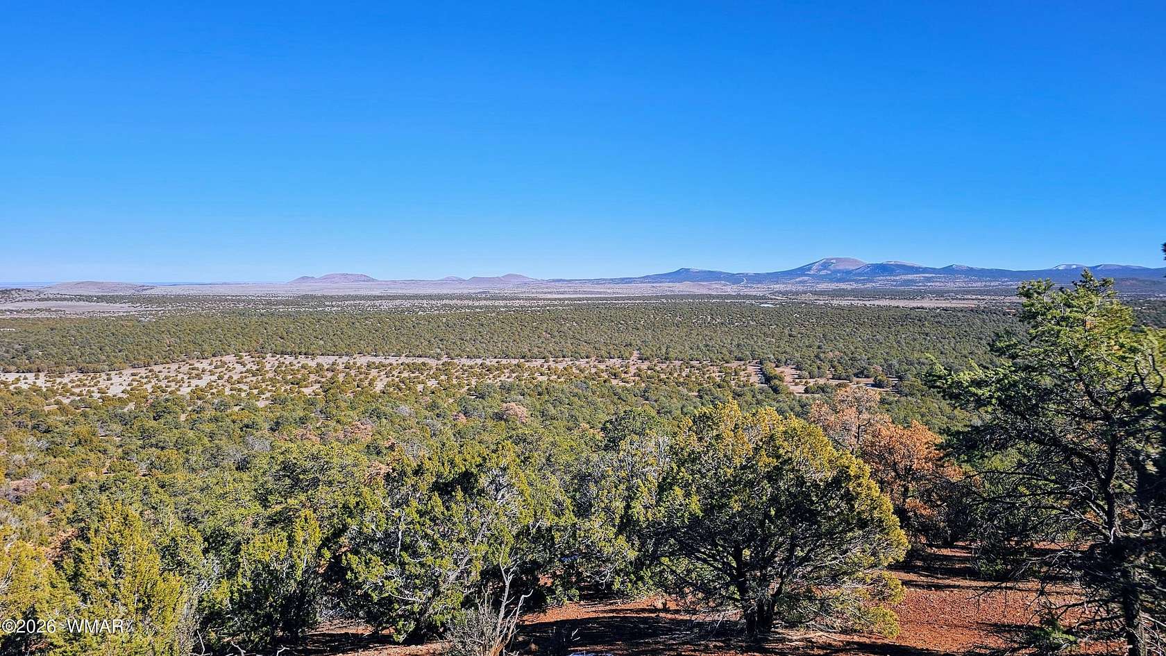 39.9 Acres of Recreational & Residential Land for Sale in Vernon, Arizona