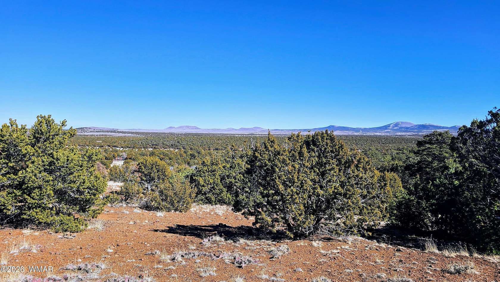 39.9 Acres of Recreational & Residential Land for Sale in Vernon, Arizona