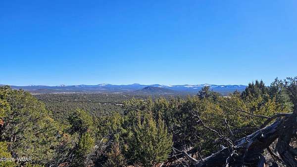 39.9 Acres of Recreational Land for Sale in Vernon, Arizona