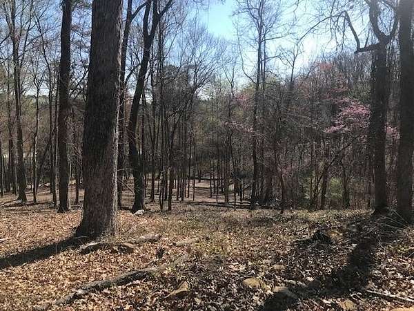 18.3 Acres of Land for Sale in Soddy-Daisy, Tennessee