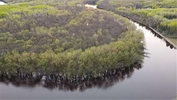 38.5 Acres of Land for Sale in Littlefork, Minnesota