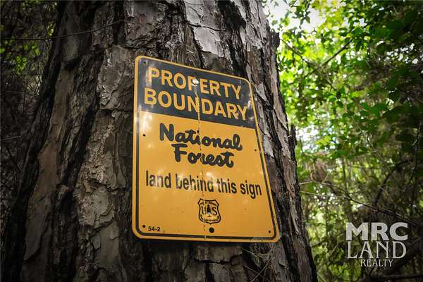 5 Acres of Land for Sale in Kennard, Texas