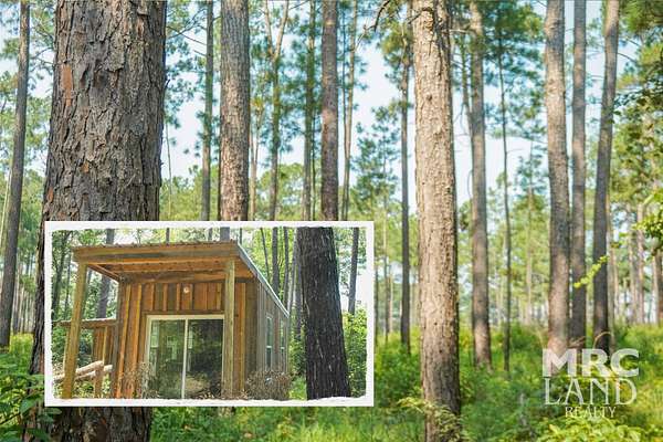 0.5 Acres of Land for Sale in Grapeland, Texas