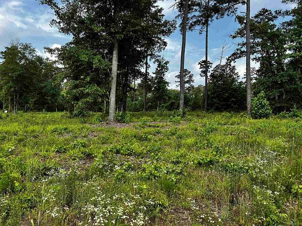 2 Acres of Residential Land for Sale in Hallsville, Texas