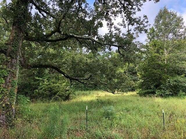 48.8 Acres of Recreational Land & Farm for Sale in Henderson, Texas