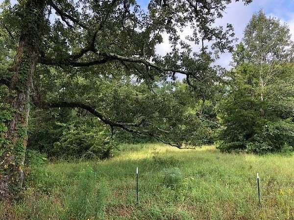 48.8 Acres of Recreational Land & Farm for Sale in Henderson, Texas