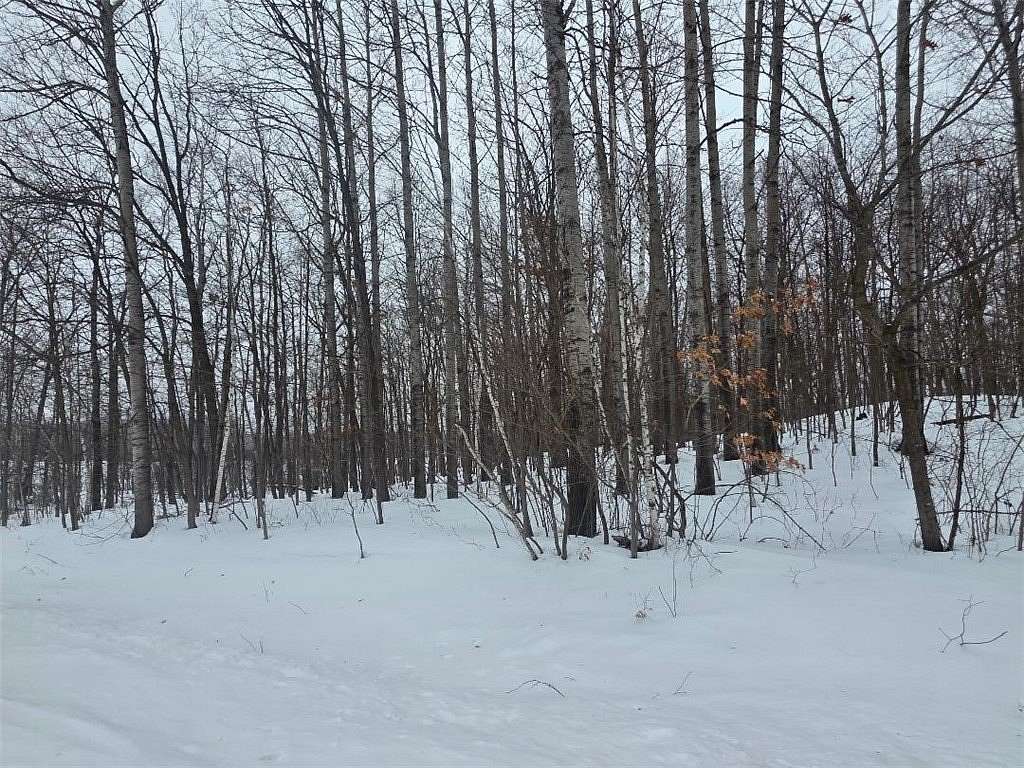 80 Acres of Recreational Land for Sale in Cumberland, Wisconsin