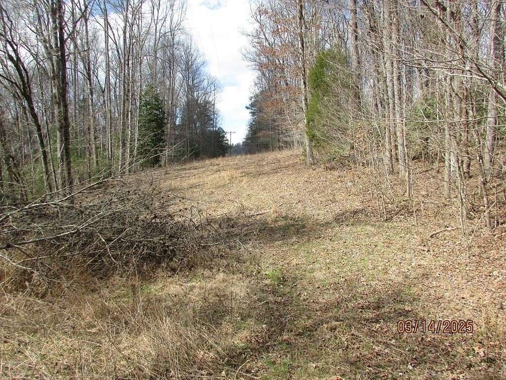 10.5 Acres of Land for Sale in Young Harris, Georgia