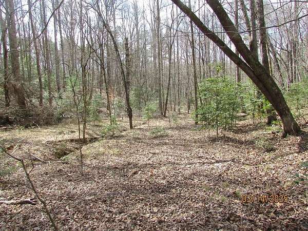 16.5 Acres of Land for Sale in Young Harris, Georgia