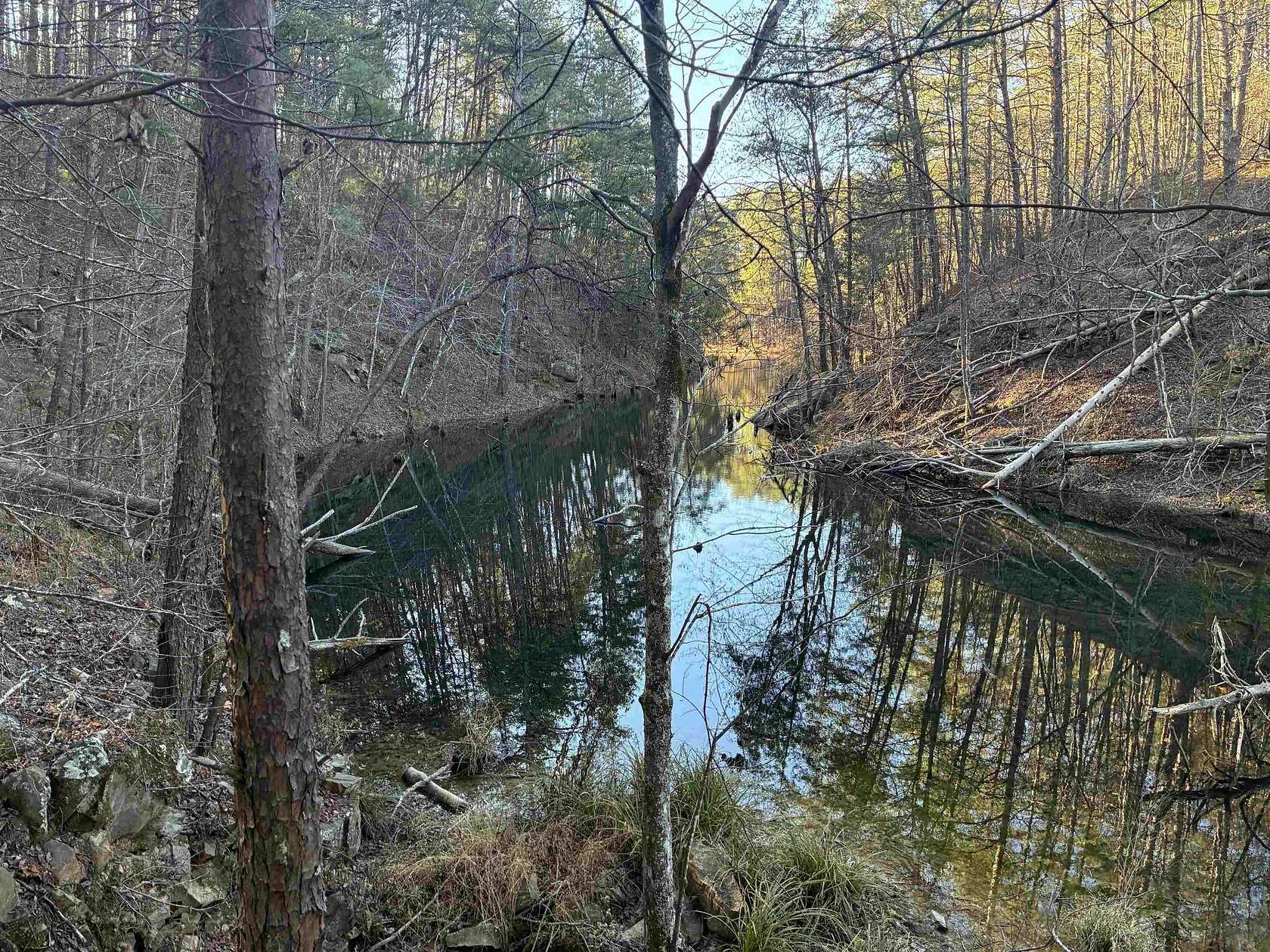 40 Acres of Recreational Land for Sale in Berry, Alabama