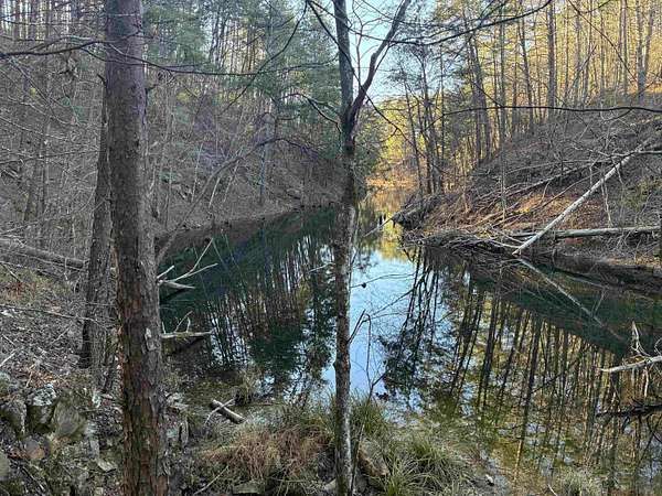 40 Acres of Recreational Land for Sale in Berry, Alabama