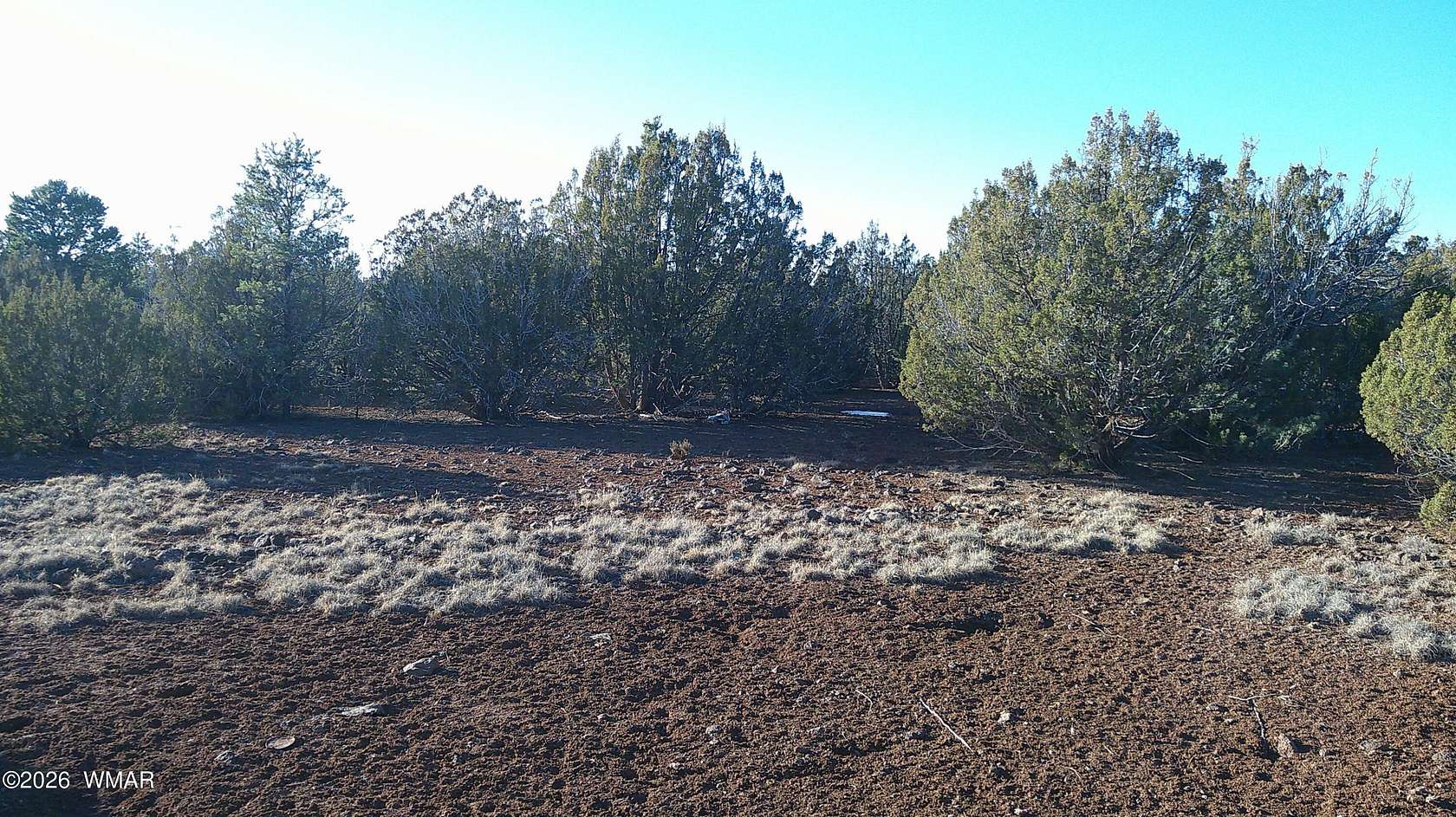 1.28 Acres of Residential Land for Sale in Concho, Arizona