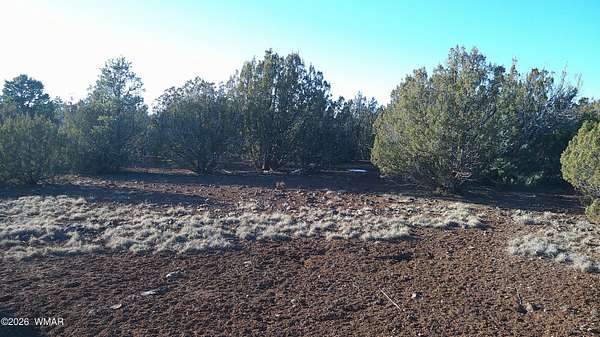 1.28 Acres of Residential Land for Sale in Concho, Arizona