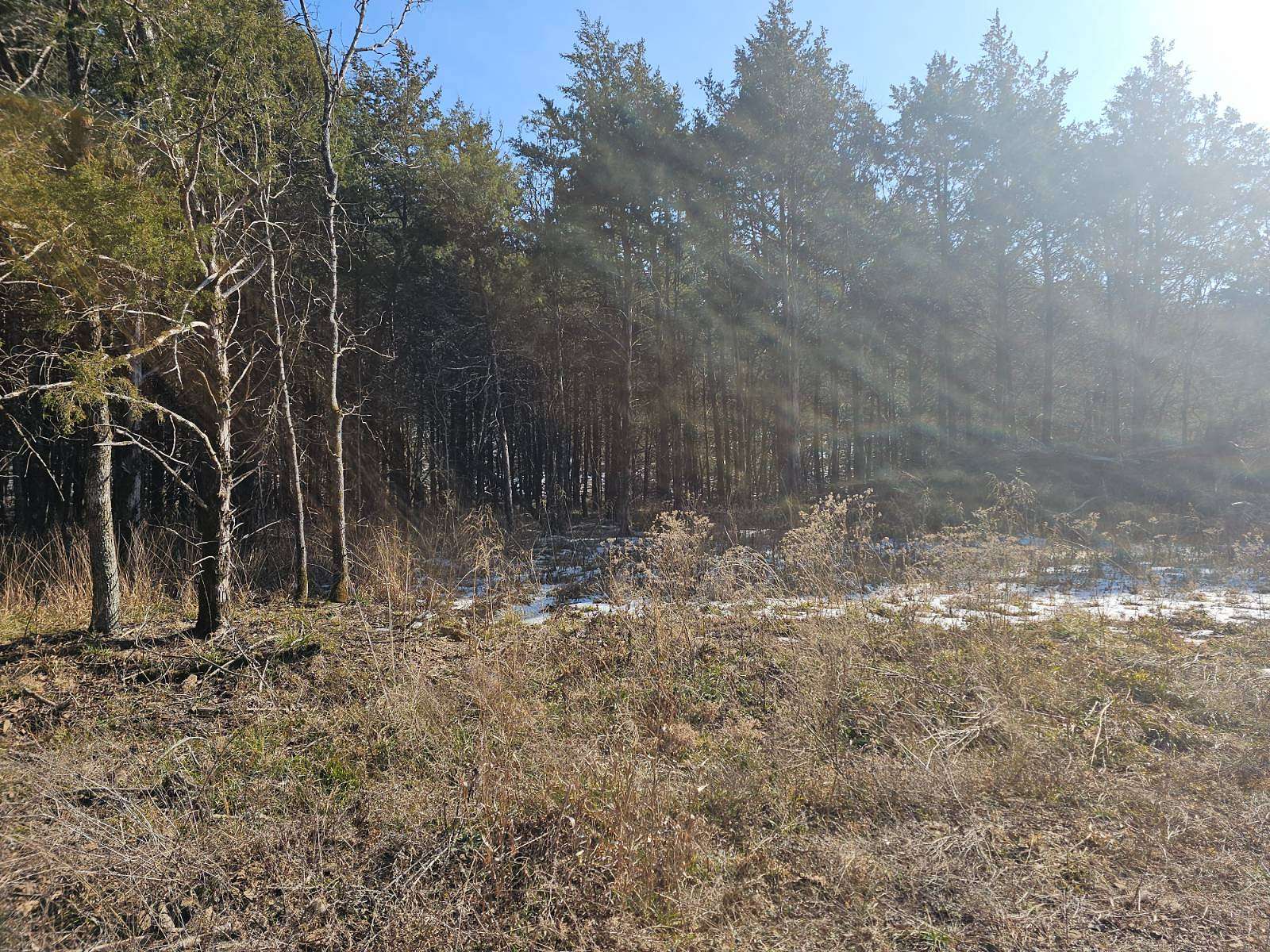 15 Acres of Land for Sale in Talihina, Oklahoma