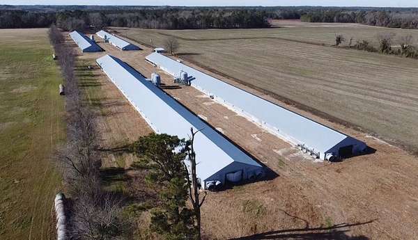 15 Acres of Land for Auction in Gibson, North Carolina