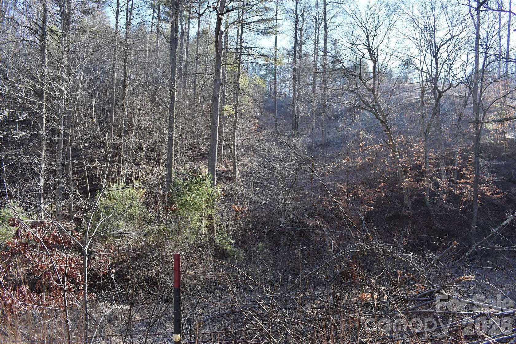22.3 Acres of Recreational Land for Sale in Green Mountain, North Carolina
