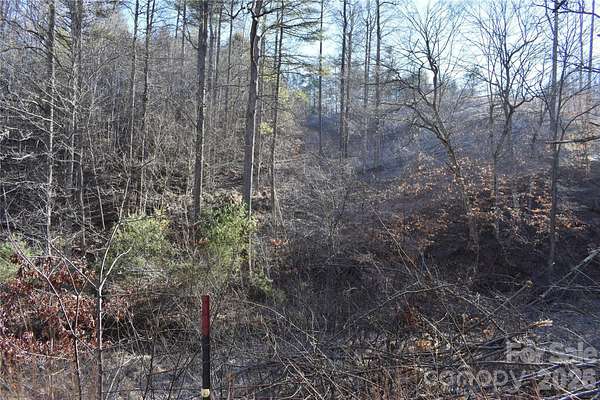 22.3 Acres of Recreational Land for Sale in Green Mountain, North Carolina