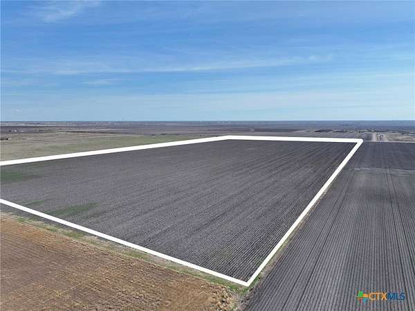 40 Acres of Agricultural Land for Sale in Victoria, Texas