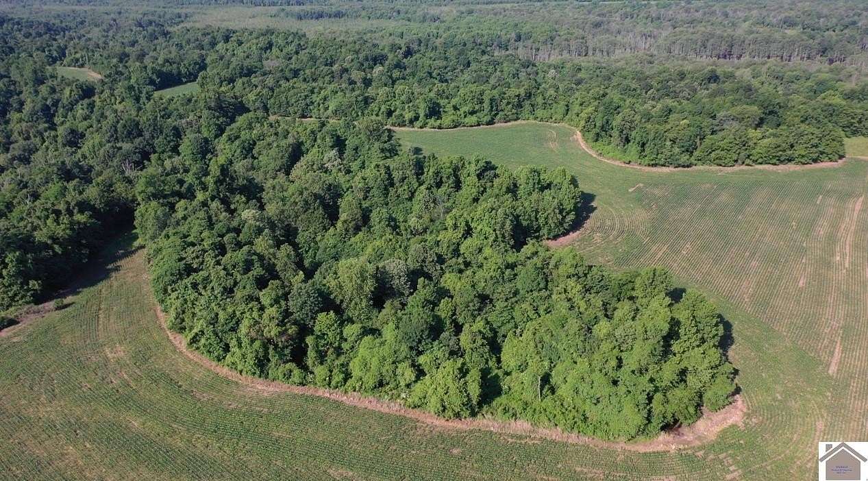 362 Acres of Land for Sale in Bardwell, Kentucky