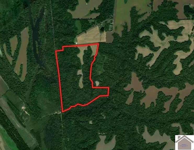 175 Acres of Land for Sale in Bardwell, Kentucky