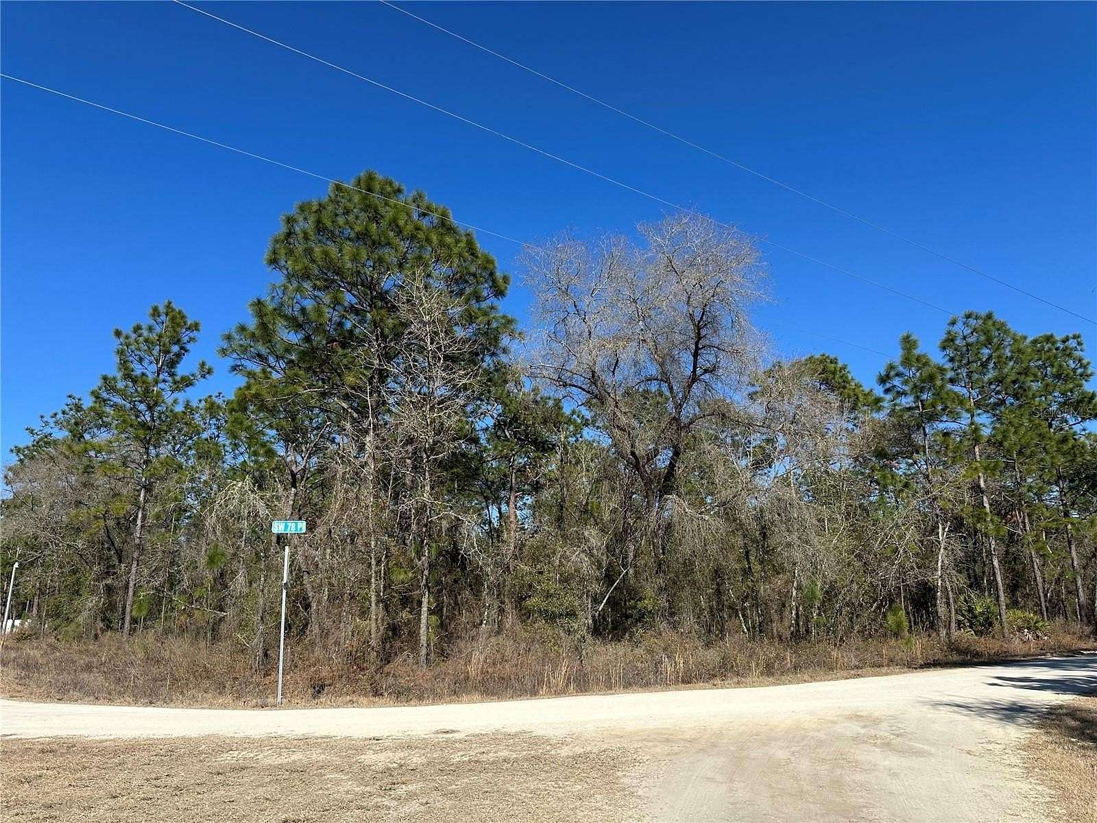 1 Acre of Residential Land for Sale in Dunnellon, Florida
