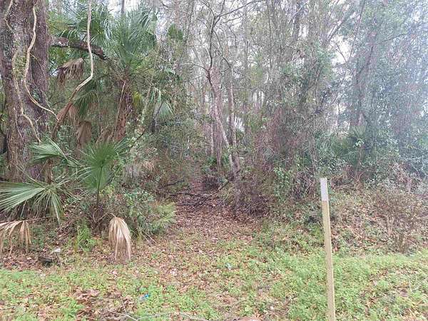 0.52 Acres of Residential Land for Sale in Palatka, Florida