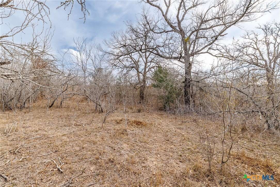 20 Acres of Recreational Land & Farm for Sale in Waelder, Texas