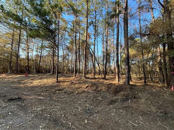 0.33 Acres of Residential Land for Sale in Carriere, Mississippi