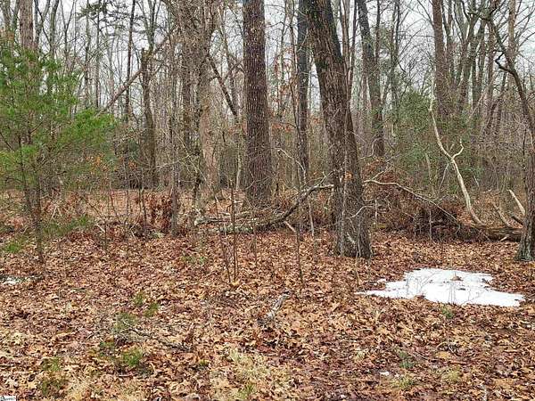 0.85 Acres of Residential Land for Sale in Landrum, South Carolina