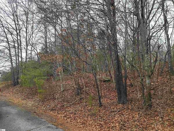 1.3 Acres of Residential Land for Sale in Landrum, South Carolina