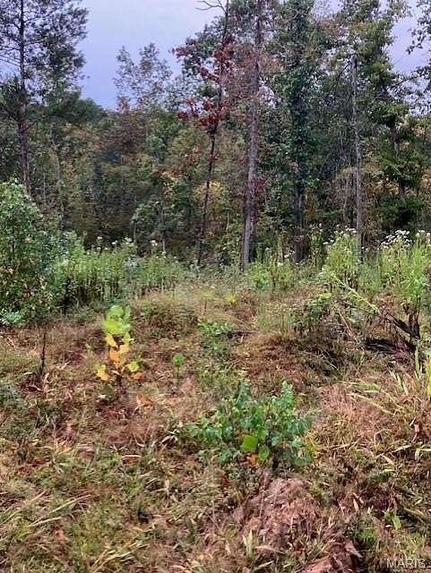 8.75 Acres of Land for Sale in Fredericktown, Missouri