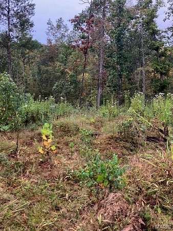 8.75 Acres of Land for Sale in Fredericktown, Missouri