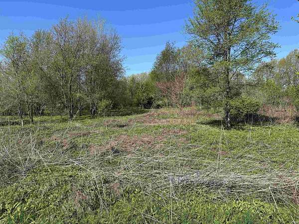 4 Acres of Residential Land for Sale in New Carlisle, Indiana