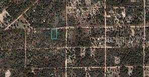 1.25 Acres of Residential Land for Sale in Bronson, Florida